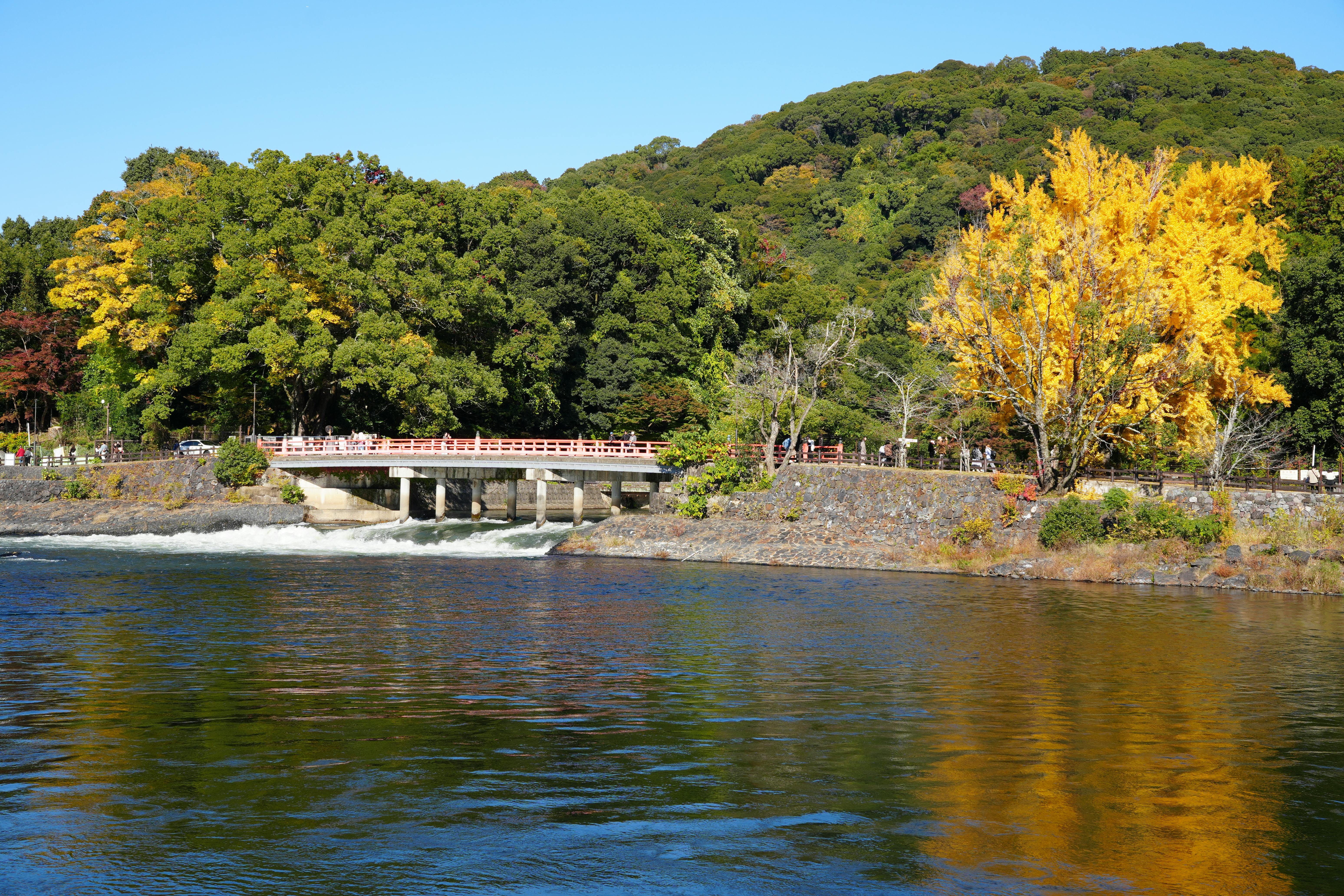 三星 Exynos 2600 芯片发力端侧 AI，保持精度下大模型“瘦身” 90% 以上